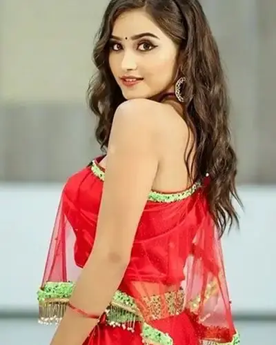 Escort In Tirupattur